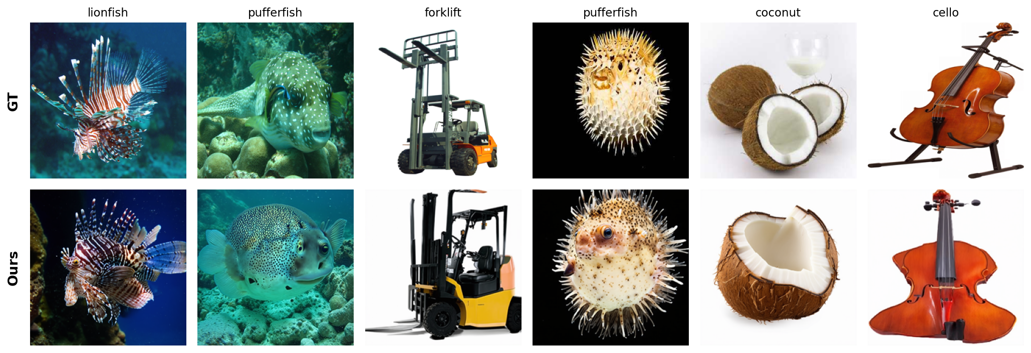 Six pairs of images. Top row: photos shown to participants (lionfish, pufferfish, forklift, pufferfish, coconut, cello). Bottom row: the matching Mind-DiT generations from EEG.